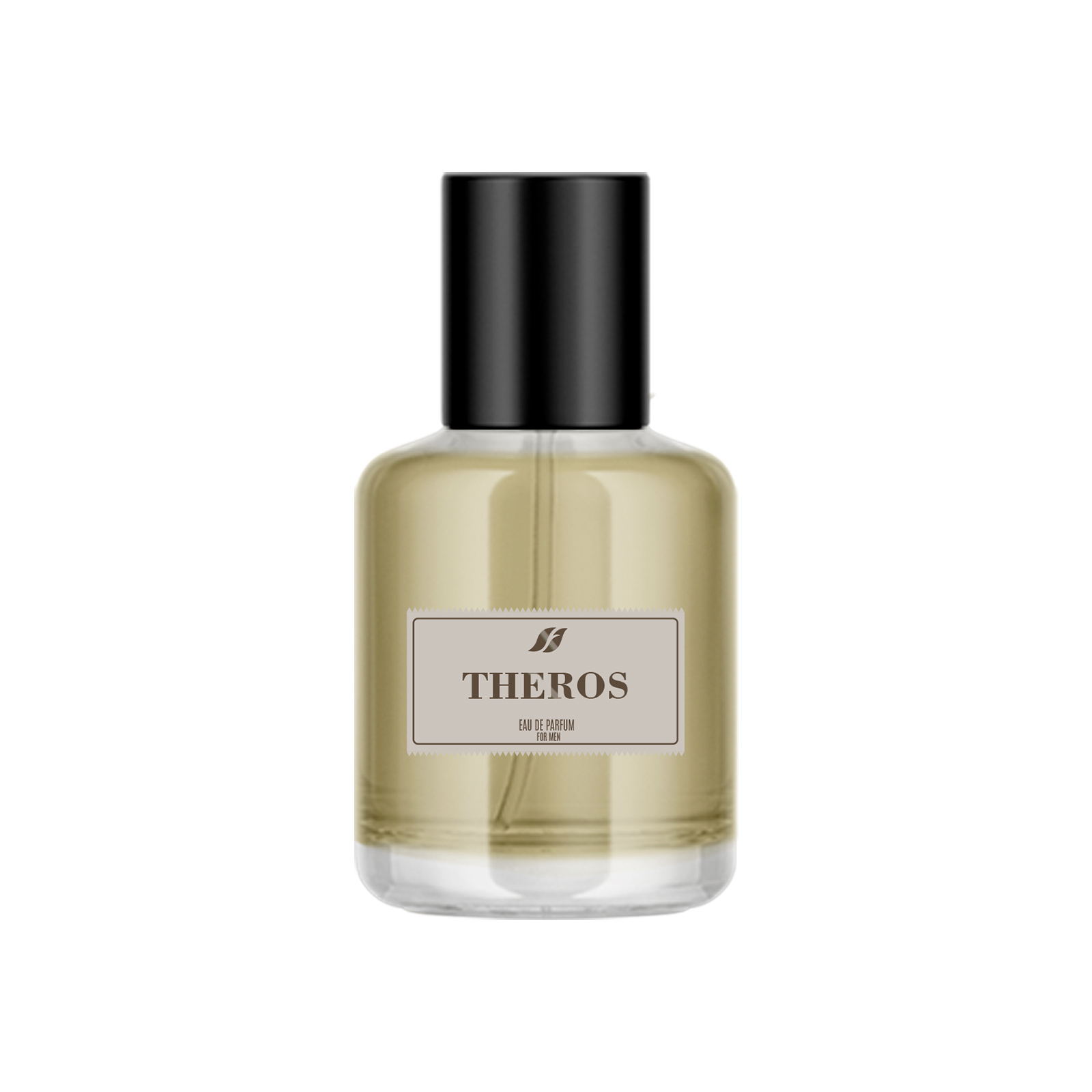 image of Чоловіча парфумована вода Theros, 50 мл